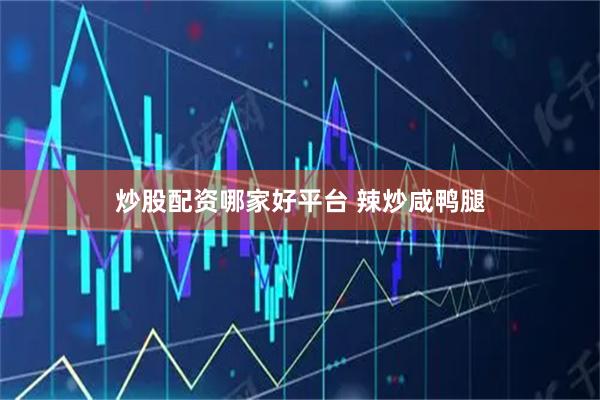 炒股配资哪家好平台 辣炒咸鸭腿