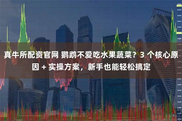 真牛所配资官网 鹦鹉不爱吃水果蔬菜？3 个核心原因 + 实操方案，新手也能轻松搞定