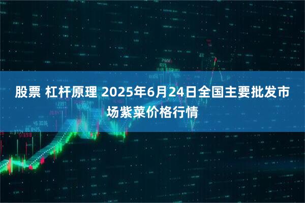股票 杠杆原理 2025年6月24日全国主要批发市场紫菜价格行情