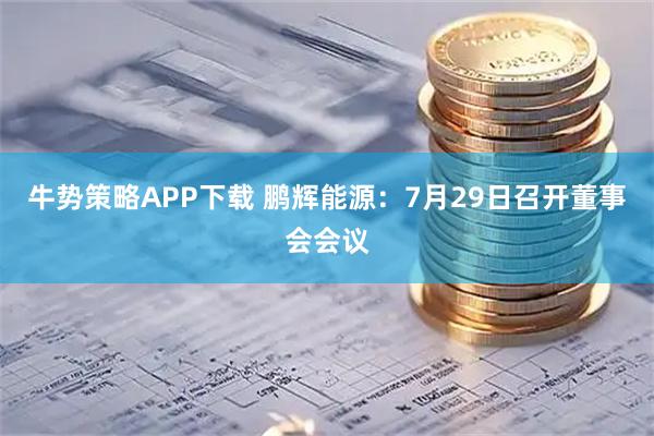 牛势策略APP下载 鹏辉能源：7月29日召开董事会会议