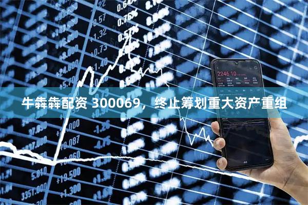 牛犇犇配资 300069，终止筹划重大资产重组